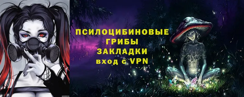 Галлюциногенные грибы прущие грибы  Николаевск-на-Амуре 